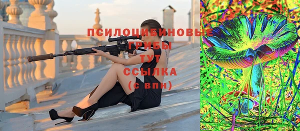 дурь Алзамай