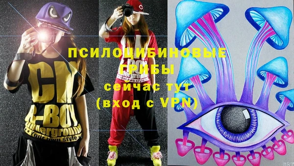 дурь Алзамай