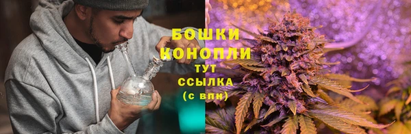 дурь Алзамай